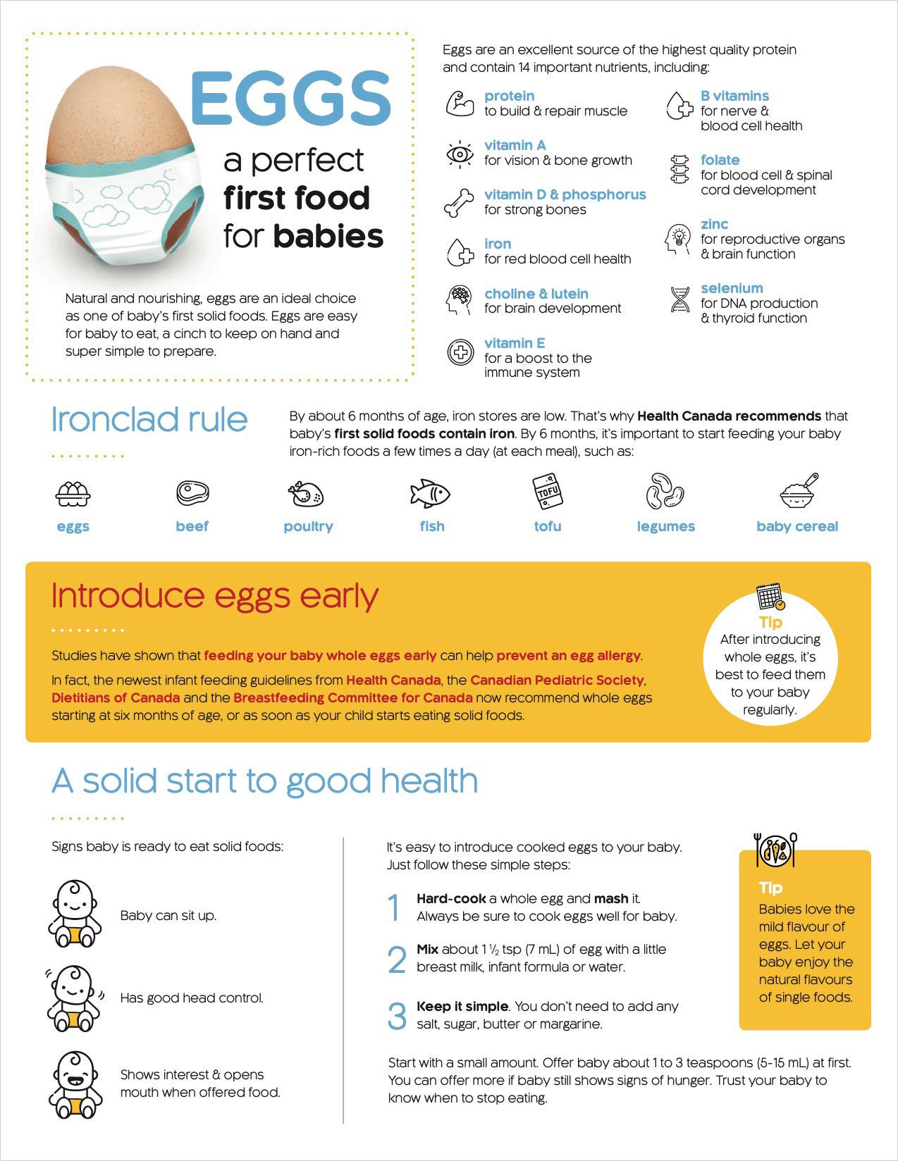 Eggs: A Perfect First Food For Babies